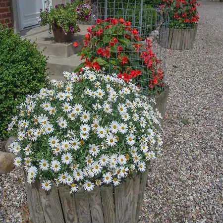 Landurlaub Regenholz
